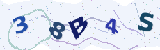 Sicherheitscode: bitte abtippen