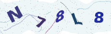 Sicherheitscode: bitte abtippen