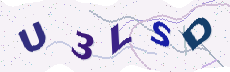 Sicherheitscode: bitte abtippen