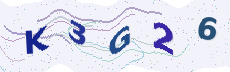 Sicherheitscode: bitte abtippen