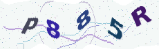 Sicherheitscode: bitte abtippen