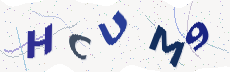 Sicherheitscode: bitte abtippen