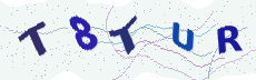 Sicherheitscode: bitte abtippen