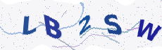 Sicherheitscode: bitte abtippen