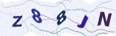 Sicherheitscode: bitte abtippen