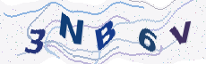Sicherheitscode: bitte abtippen