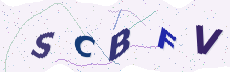 Sicherheitscode: bitte abtippen