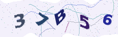 Sicherheitscode: bitte abtippen