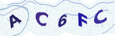 Sicherheitscode: bitte abtippen