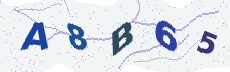 Sicherheitscode: bitte abtippen