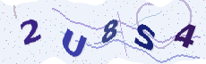 Sicherheitscode: bitte abtippen