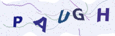 Sicherheitscode: bitte abtippen