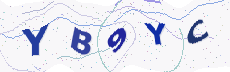 Sicherheitscode: bitte abtippen