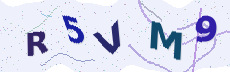 Sicherheitscode: bitte abtippen