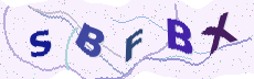 Sicherheitscode: bitte abtippen