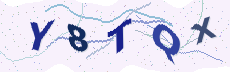 Sicherheitscode: bitte abtippen