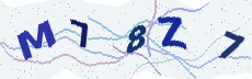 Sicherheitscode: bitte abtippen