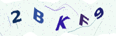 Sicherheitscode: bitte abtippen