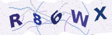 Sicherheitscode: bitte abtippen