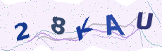 Sicherheitscode: bitte abtippen