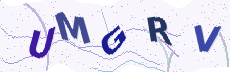 Sicherheitscode: bitte abtippen