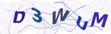 Sicherheitscode: bitte abtippen