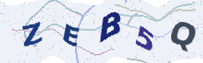 Sicherheitscode: bitte abtippen