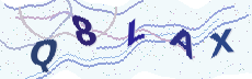 Sicherheitscode: bitte abtippen