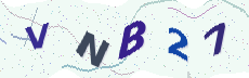 Sicherheitscode: bitte abtippen