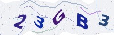 Sicherheitscode: bitte abtippen