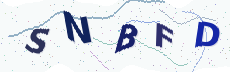 Sicherheitscode: bitte abtippen