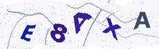 Sicherheitscode: bitte abtippen
