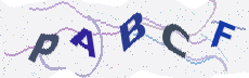 Sicherheitscode: bitte abtippen