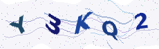 Sicherheitscode: bitte abtippen
