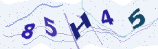 Sicherheitscode: bitte abtippen
