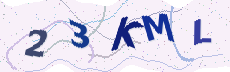 Sicherheitscode: bitte abtippen