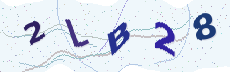 Sicherheitscode: bitte abtippen